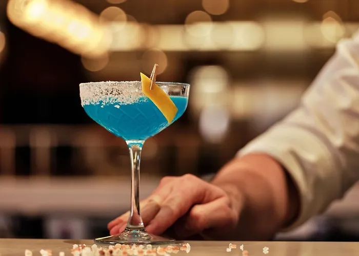 克拉科夫丽笙大酒店 酒店